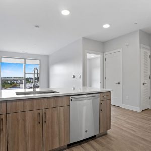 Empty model unit's kitchen