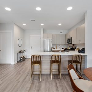 Model unit living area. Fully furnished and decorated in a contemporary style.