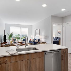 Model unit living area. Fully furnished and decorated in a contemporary style.